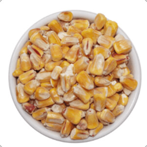 Corn Bulk