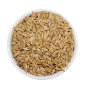 Barley Bulk